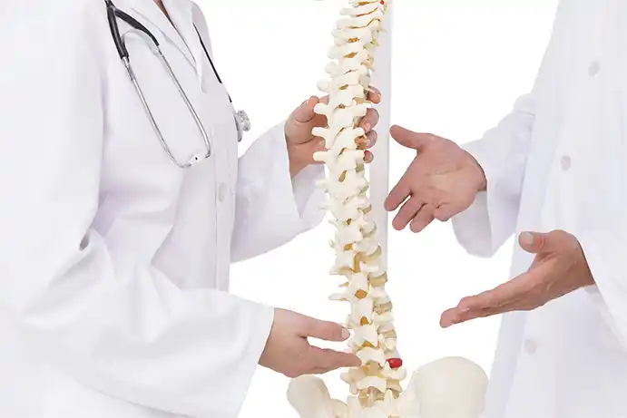 Columna Vertebral